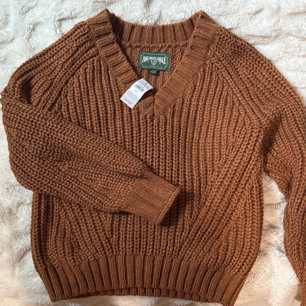American Eagle Outfitters Brown V-Neck Men's Sweater